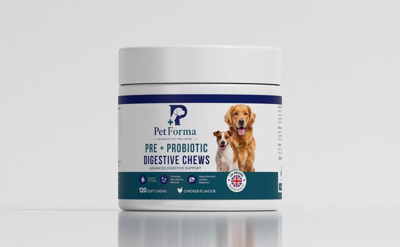 The PetForma Pre + Probiotic Digestive Chews tub in a clean studio shot — 120 chicken-flavour soft chews, a UK brand.