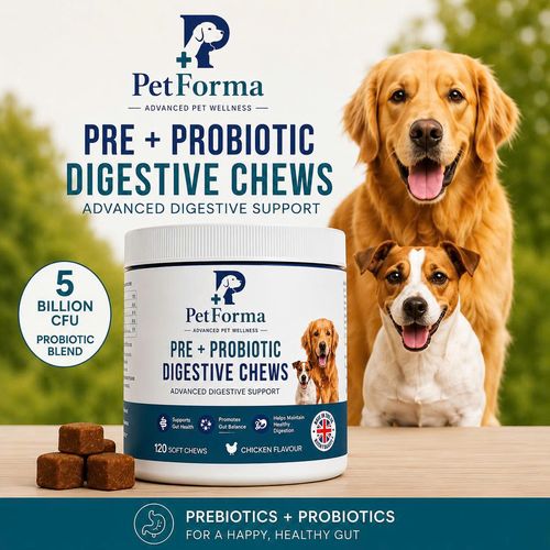 PetForma listing hero: the tub with both dogs and the 5-billion-CFU probiotic blend callout.