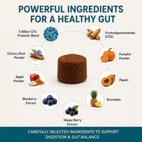 Listing graphic: the ingredient wheel — 5-billion-CFU probiotic blend, FOS, chicory root, pumpkin, apple, blueberry, maqui berry, papain and bromelain.