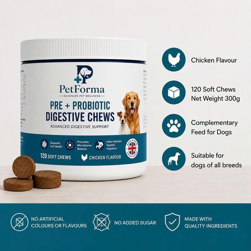 Listing graphic: 120 soft chews, 300 g net weight, chicken flavour — a complementary feed for dogs of all breeds.